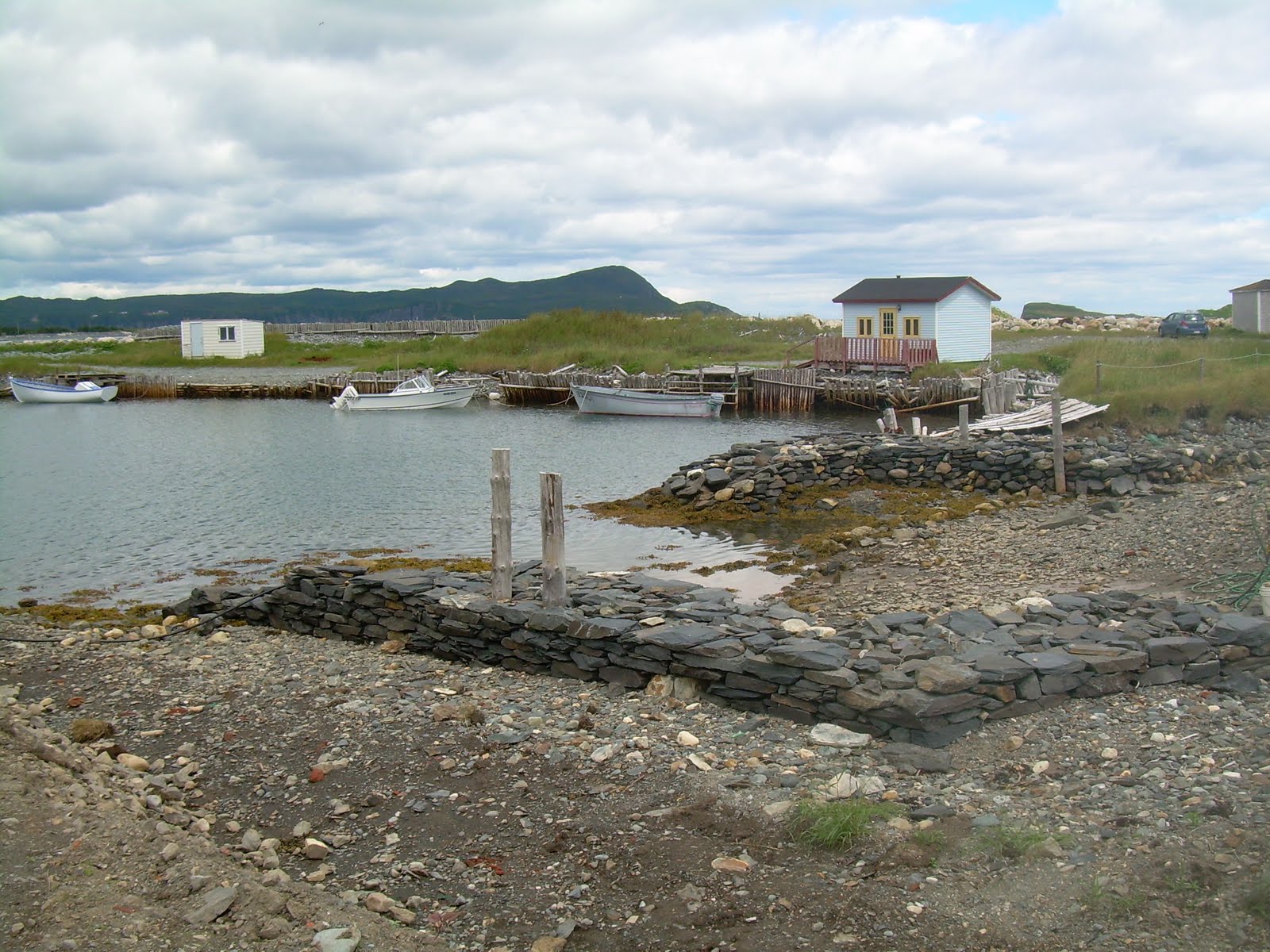 joypix Digging up the past in Ferryland