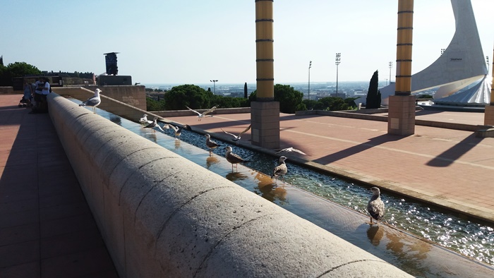 20160902_170731.jpg