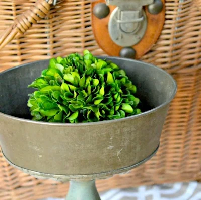 Dish with boxwood ball inside
