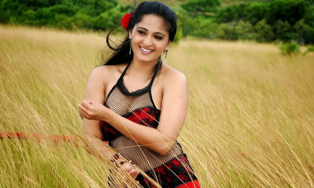 விரைவில் அனுஷ்காவுக்கு டும் டும் டும்! விரைவில் அனுஷ்காவுக்கு டும் டும் டும்!