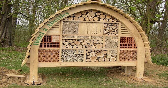 How To Build Bee Hotels To Help Save Native Bees How To Build Bee Hotels To Help Save Native Bees