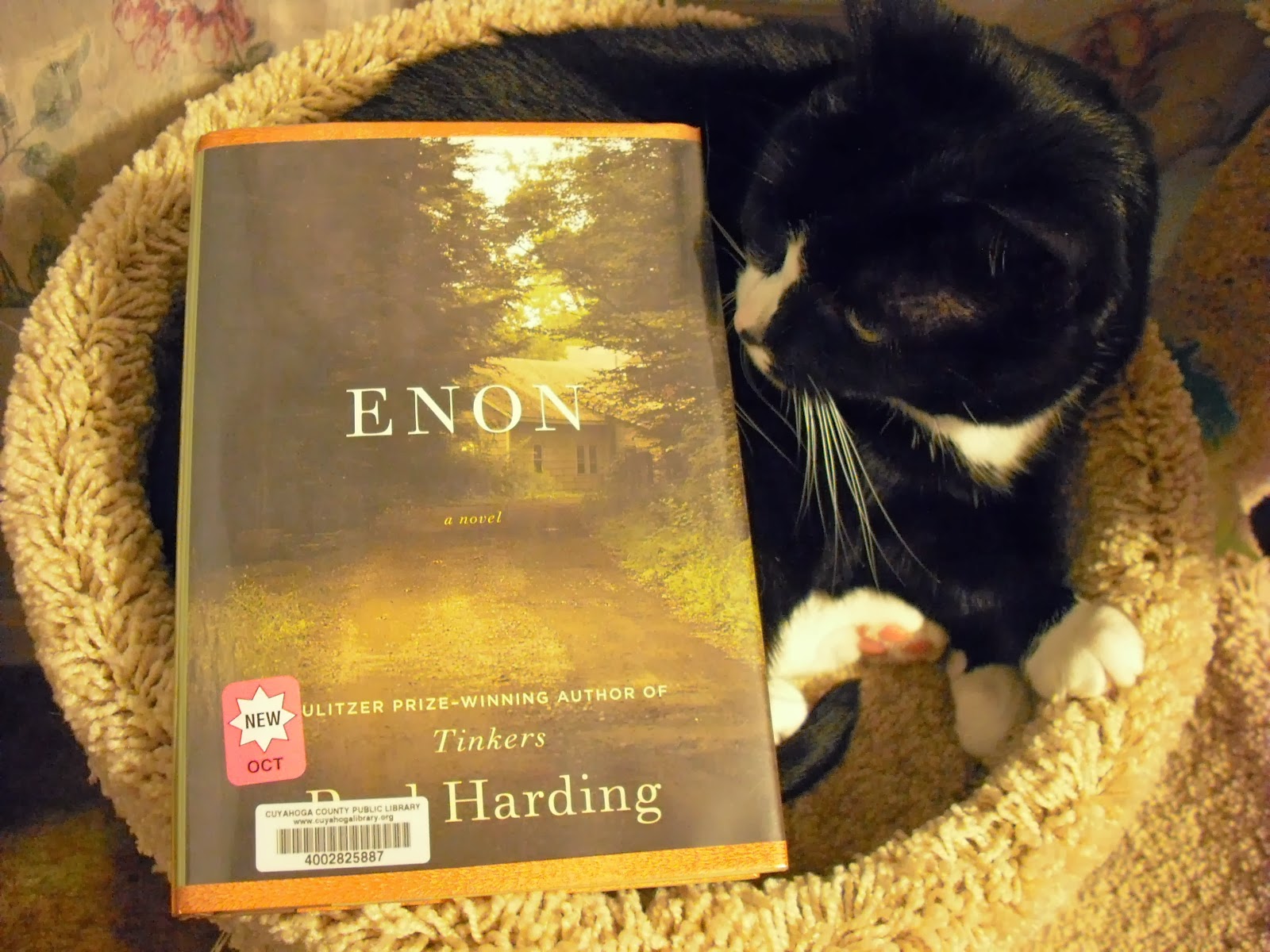 Grab A Book From Our Stack "Enon" by Paul Harding Plods Along