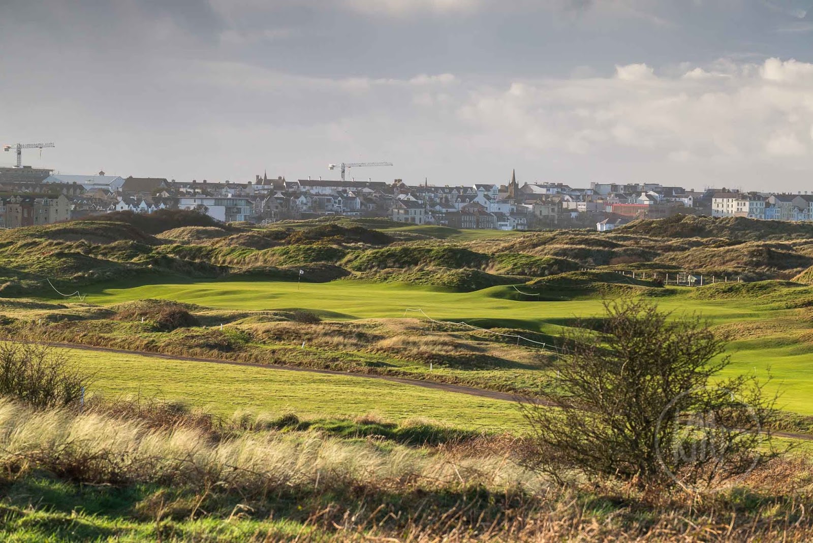 Royal Portrush Open Championship