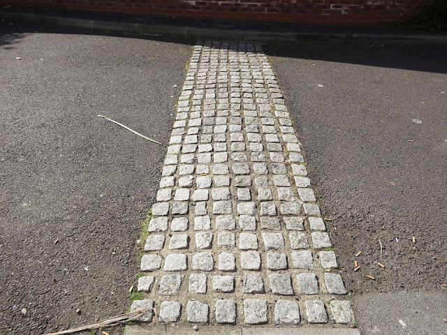 Speed bump. There are lots of tiny plants between the cobbles.