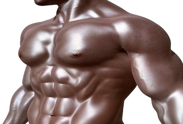 ما-هي-العضلات-muscles-defiinition