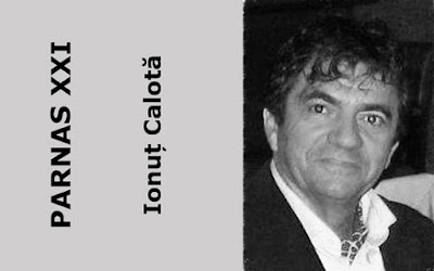 IONUȚ CALOTĂ Poezie contemporana
