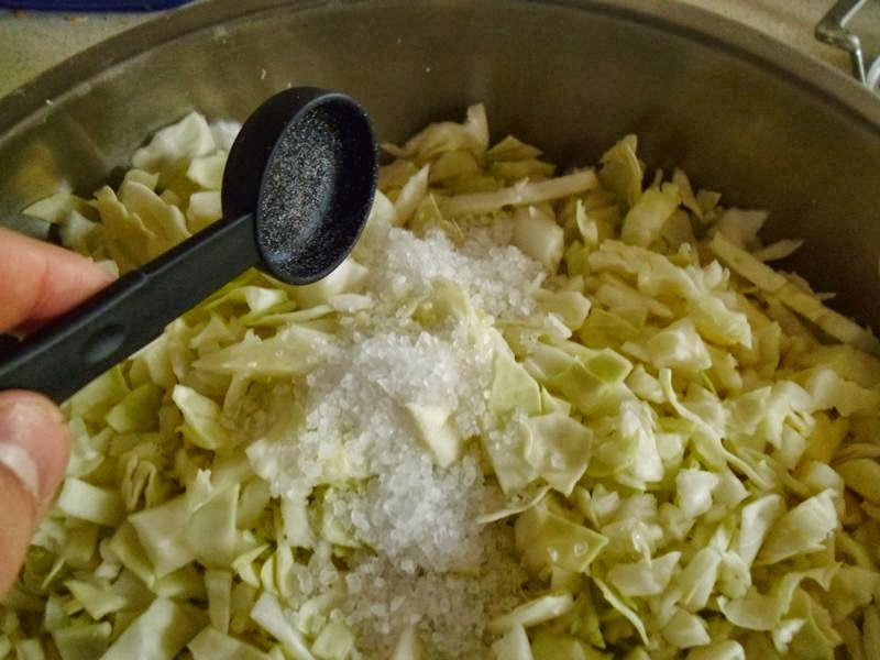 Add salt to cabbage