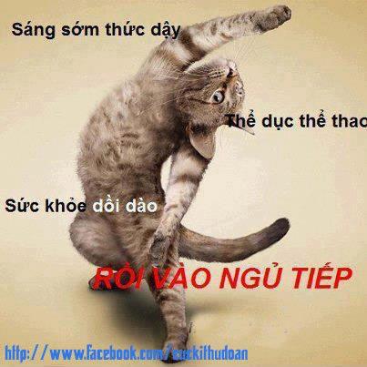 hình ảnh vui nhộn 2015