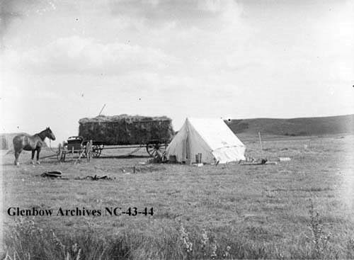 Heroes, Heroines, and History: Alberta Ranch: Summer Haying