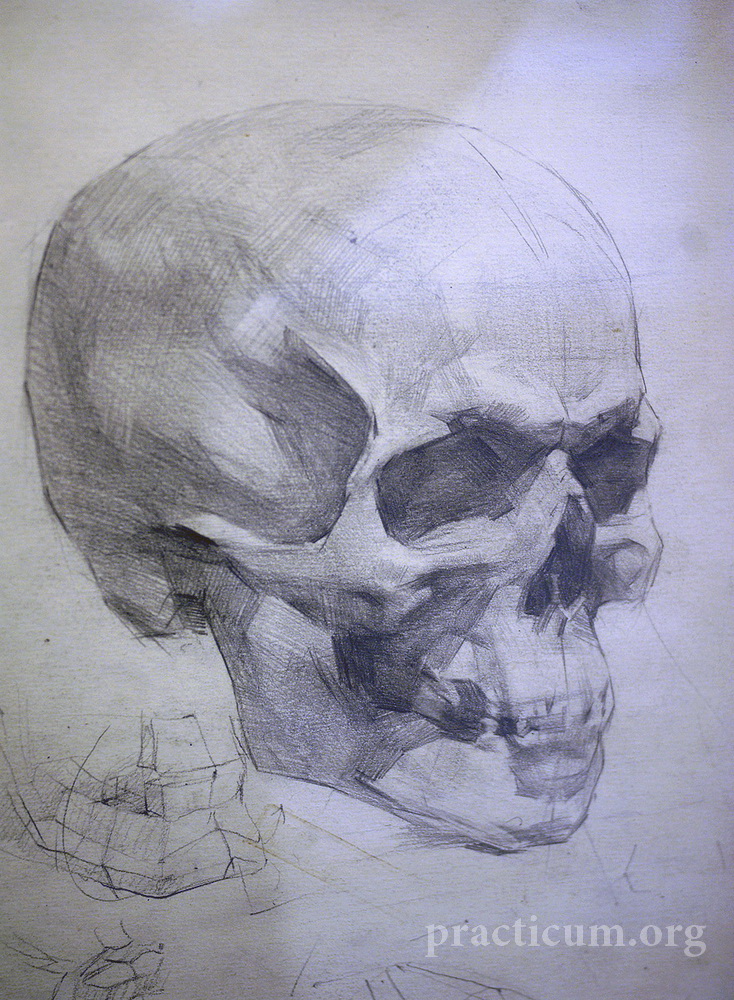 classical figure drawing