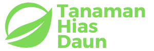 TANAMAN HIAS DAUN