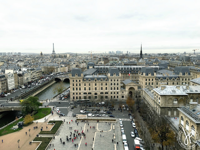 city view paris, buildings, river