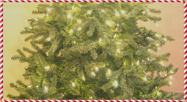 balsam hill, sapin, noël, meilleur, best, artificiel, christmas, tree, christmas tree, cadeaux, present, roi des forêt, lumières, light, 