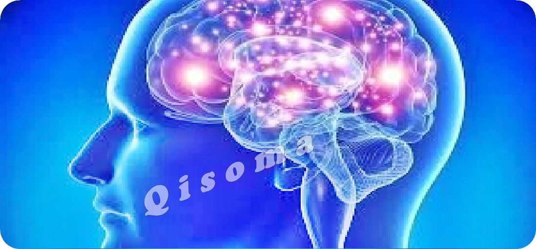 Cuida y sana tu cerebro cerebro