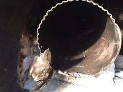 birds chimney liner were