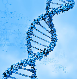 Gen Manusia Sama Dengan Gen Terumbu Karang