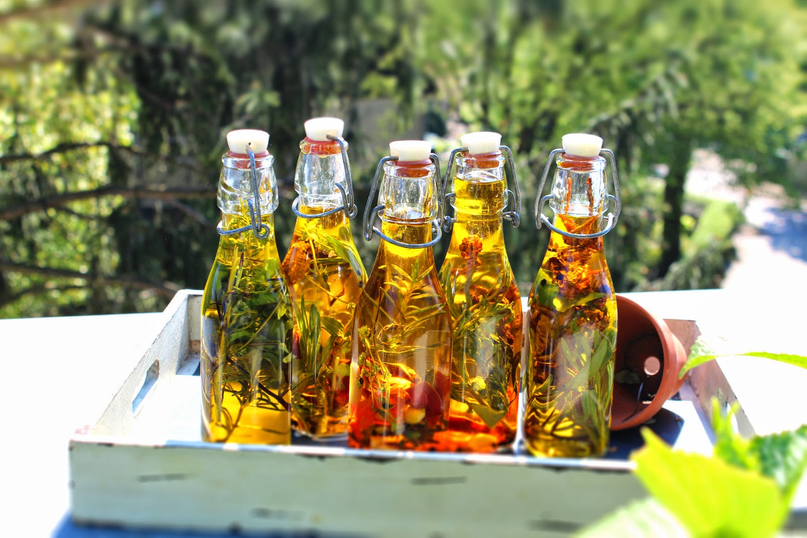 StadtLandLebenslust: Feta, Tomaten und Oliven in Bärlauch-Olivenöl StadtLandLebenslust: Feta, Tomaten und Oliven in Bärlauch-Olivenöl