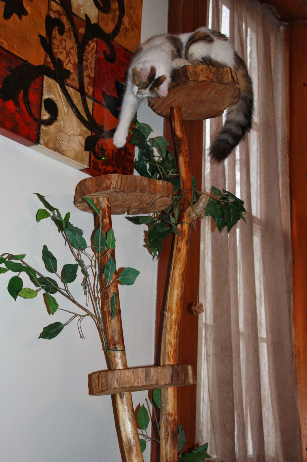 restoration-and-renovation-natural-wood-cat-tree-indoor-decor