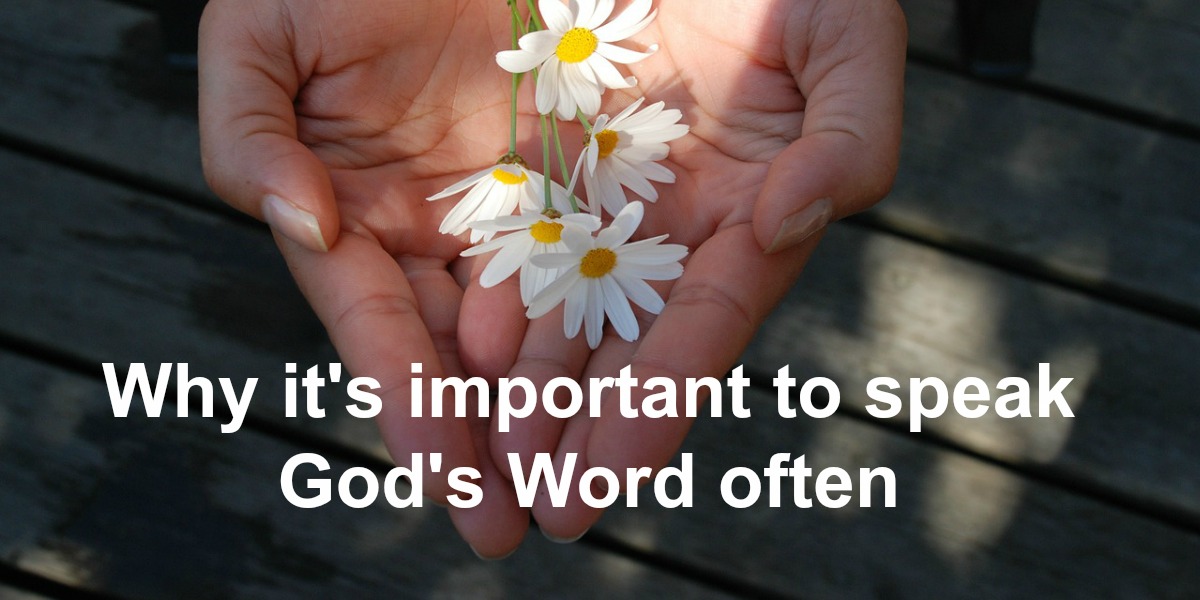 1Minute Bible Love Notes Speak His Words Psalm 119916