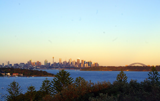 Sydney skyline within the rising sun