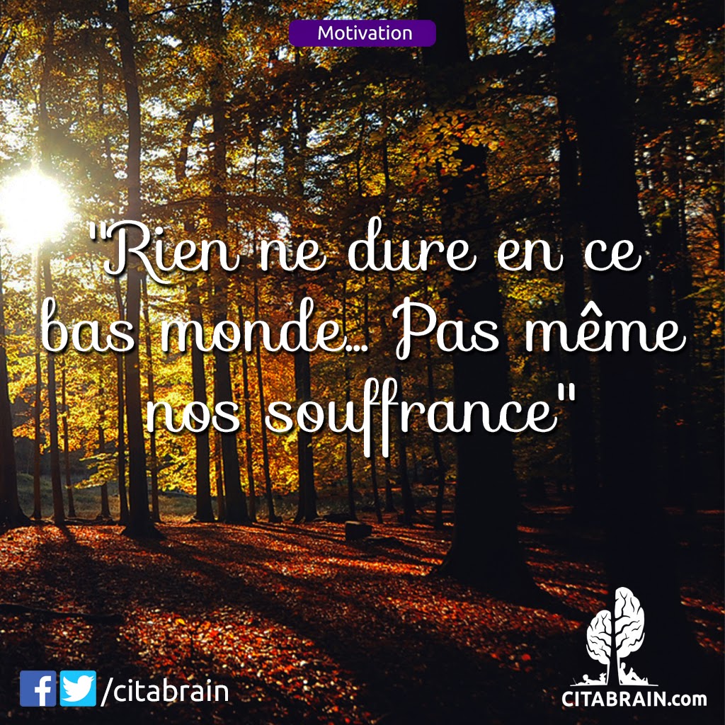 [75+] Proverbe La Vie Est Dure Gratuit CitesSites