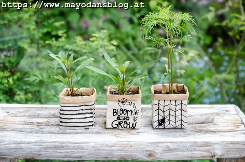 Upcyclingidee Sommerblumenaussaat Im Tetrapack Mayodans Blog