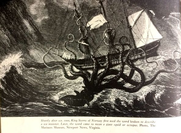 Книга орден кракена. Гигантский осьминог Кракен. Гигантский кальмар Кракен. Бермудский треугольник Кракен. Кракен Морское чудовище гравюра.