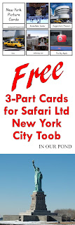 FREE 3-Part Cards for Safari Ltd New York City Toob from In Our Pond
