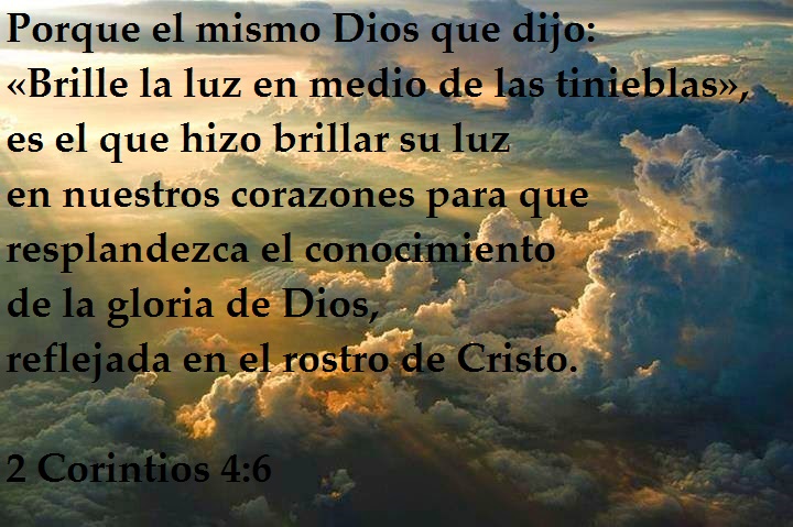 La luz que a través de las sombras logra llegar hasta el jardín de mi