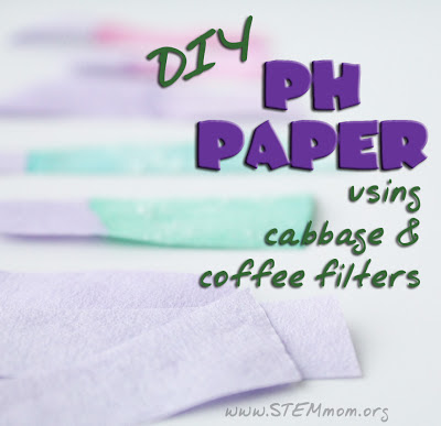 Tutorial on making your own pH paper using cabbage juice and coffee filters: STEMmom.org