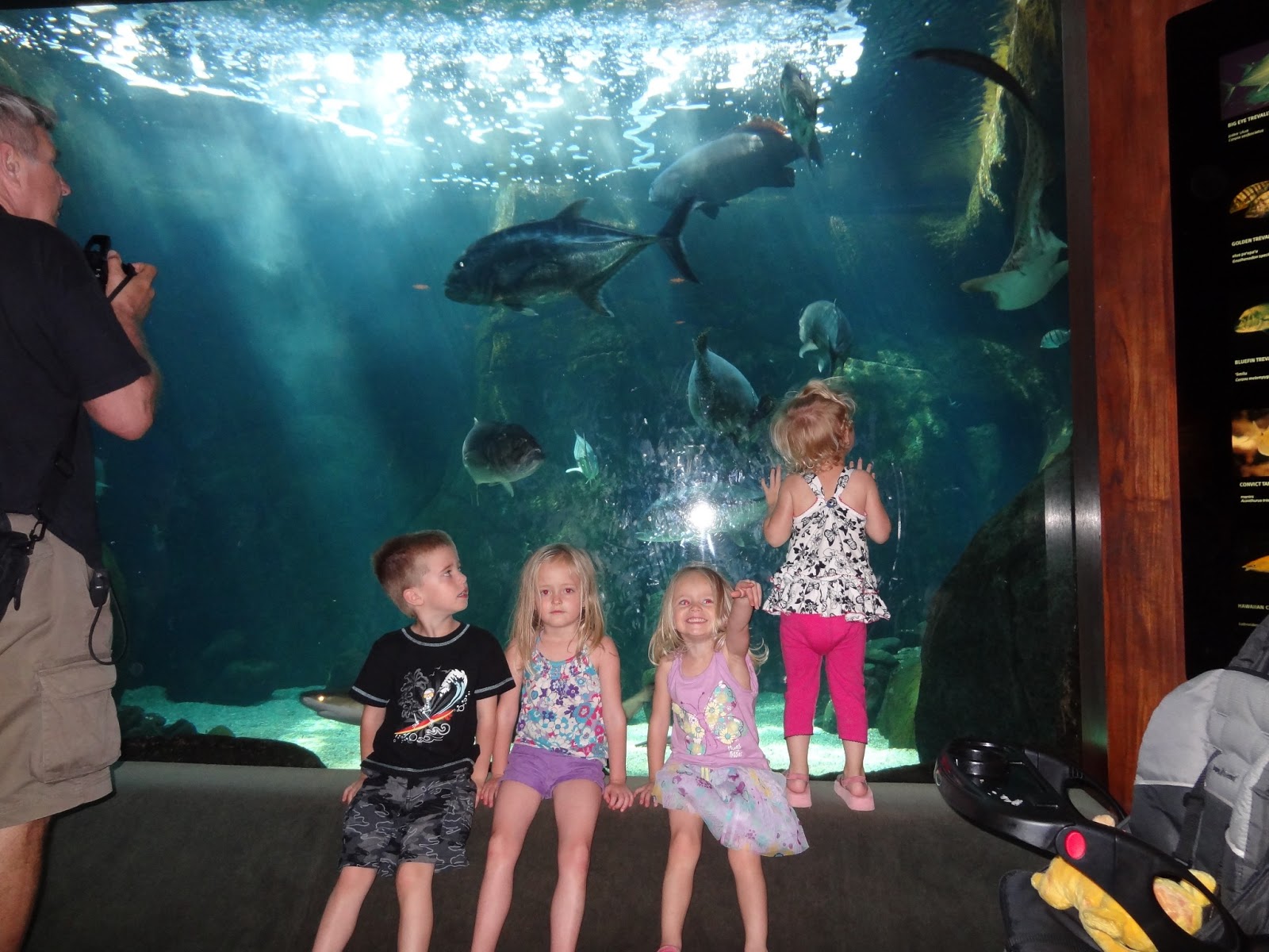 The Heward Family Swap Meet and Honolulu Aquarium