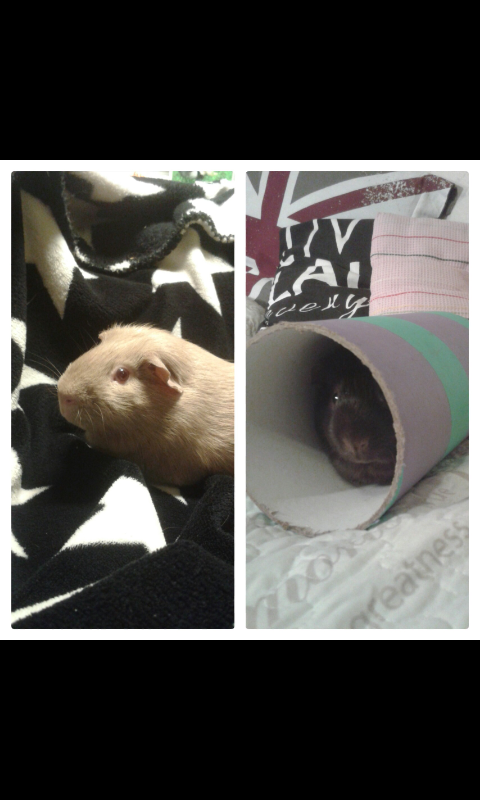 Kaupunkien porno putket