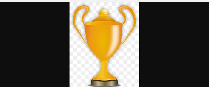 Zealmatblog 2016 Domain Name Award for Beginners