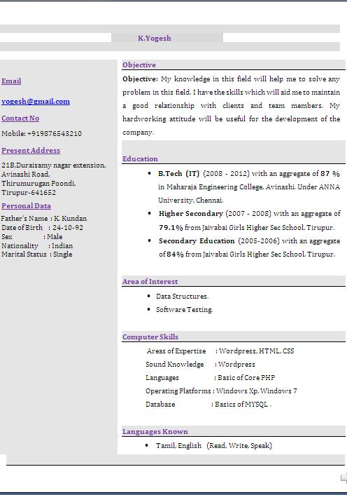 eye catching resume templates free download