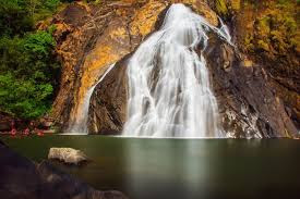Wild stream of Dudhsagar falls Stream of Dudhsagar falls