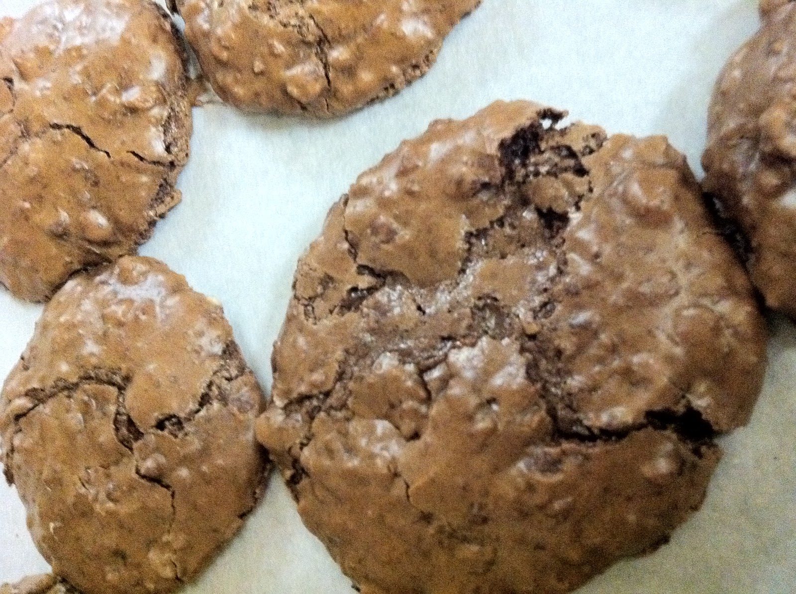 The Clumsy Cook Chocolate Walnut Cookies (Gluten Free!)