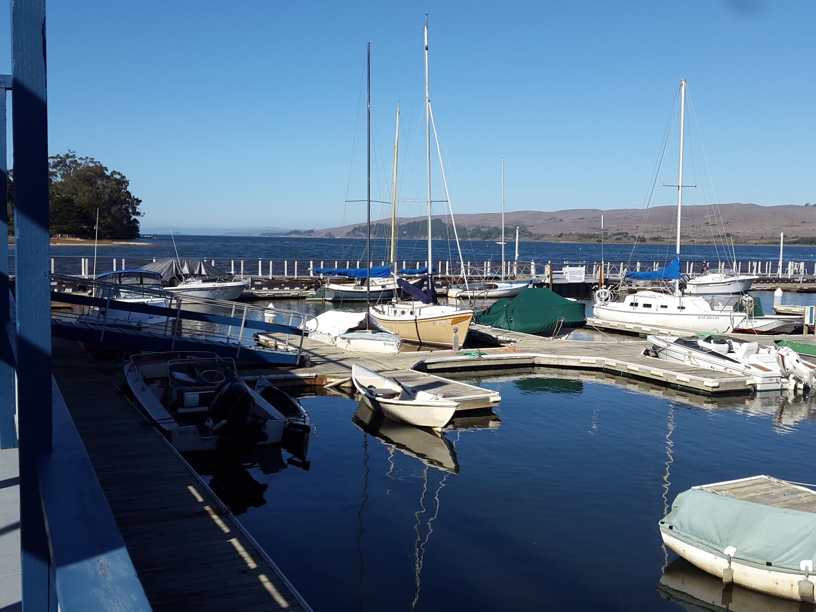 Mumi's World Tomales Bay Resort