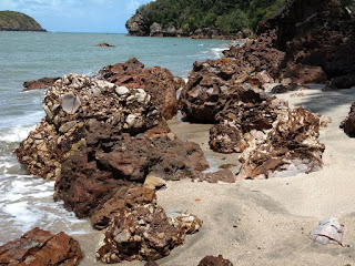 Mixed geology of Cape Hillsborough, Whitsundays Breccia on beach at Cape Hillsborough