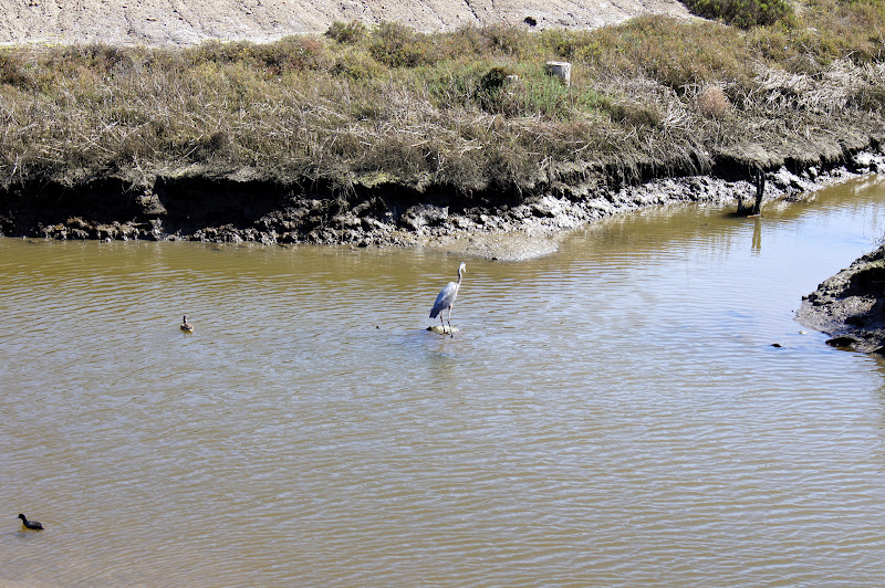 Ed & Linda's Journey Chula Vista, California