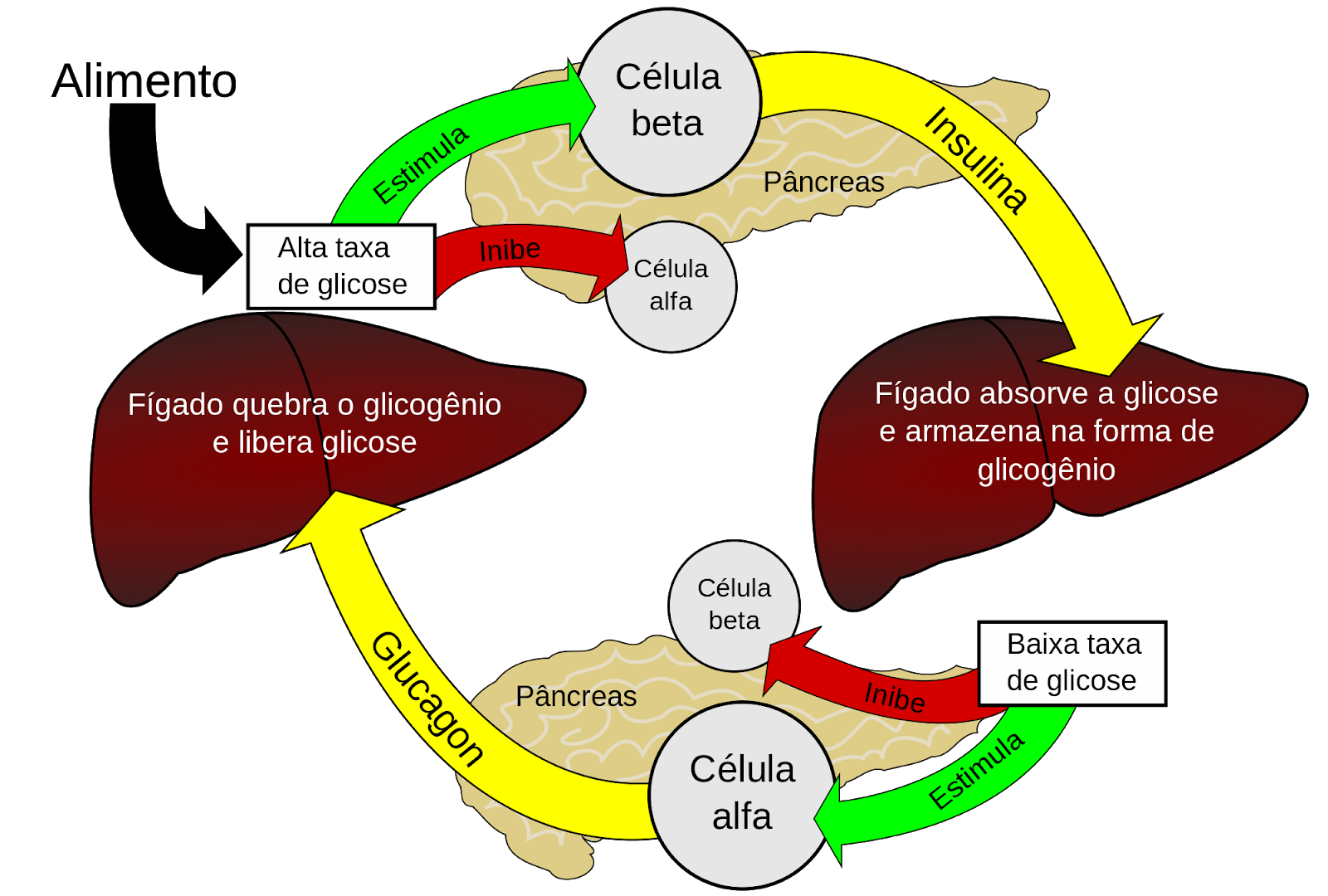 El Herbal Plan Que Te Conviene Herbalife Aloe Vera Beneficios