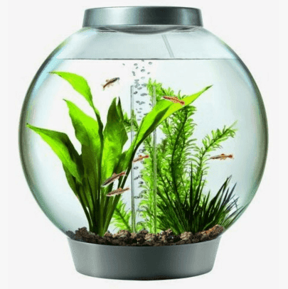 Design Interior Rumah Minimalis Sederhana yang Fresh dengan Akuarium Inspirasi desain Untuk interior rumah minimalis sederhana yang fresh dengan akuarium