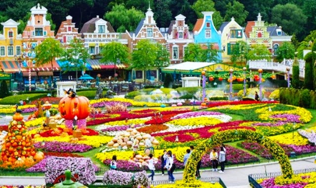 Taman Bunga Terindah Di Korea Selatan - Foto Pesona Ladang ...