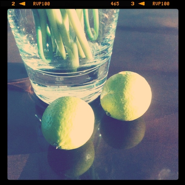 Skinny Sweets and Treats Lime and Lemon water improves digestion