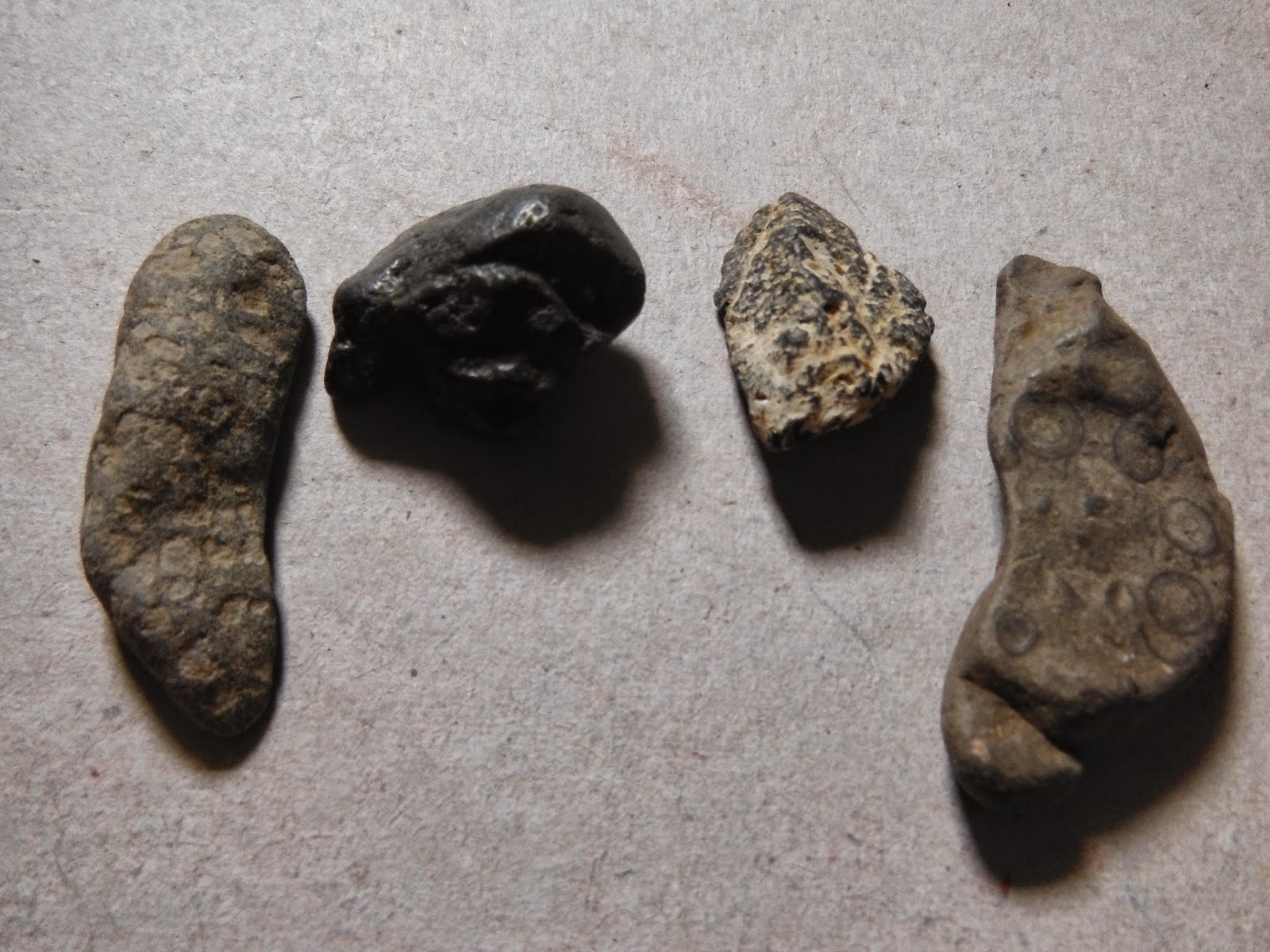 Aboriginal Prehistory Central Qld Area: Origins
