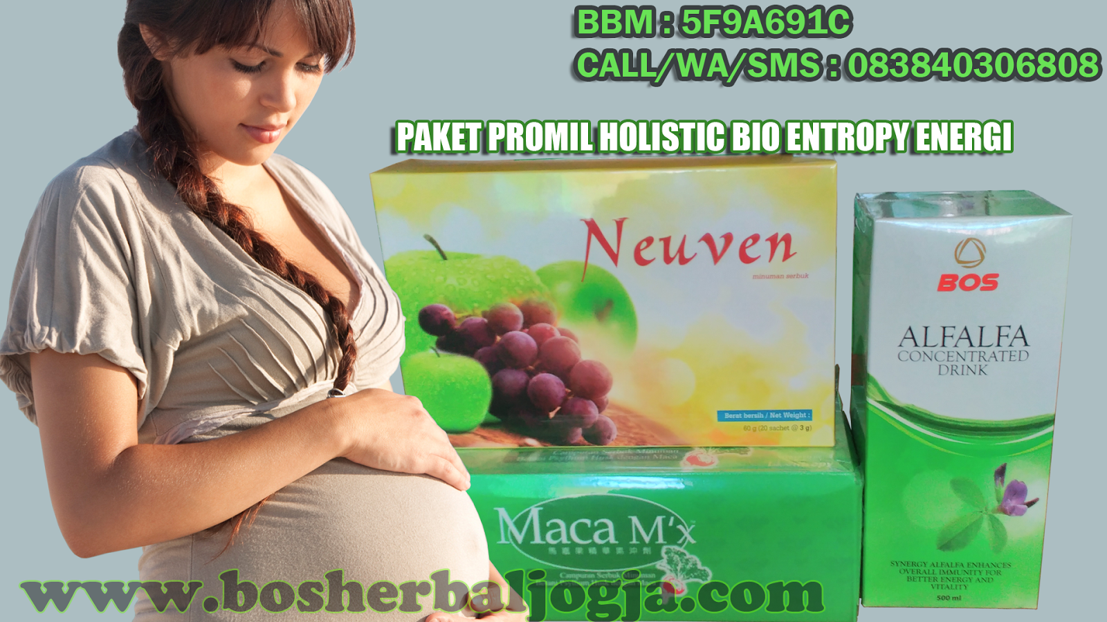 Manfaat alfalfa bos Jual Neuven Herbal Harga Jual Neuven Maca mx Seagold Alfalfa Ogg