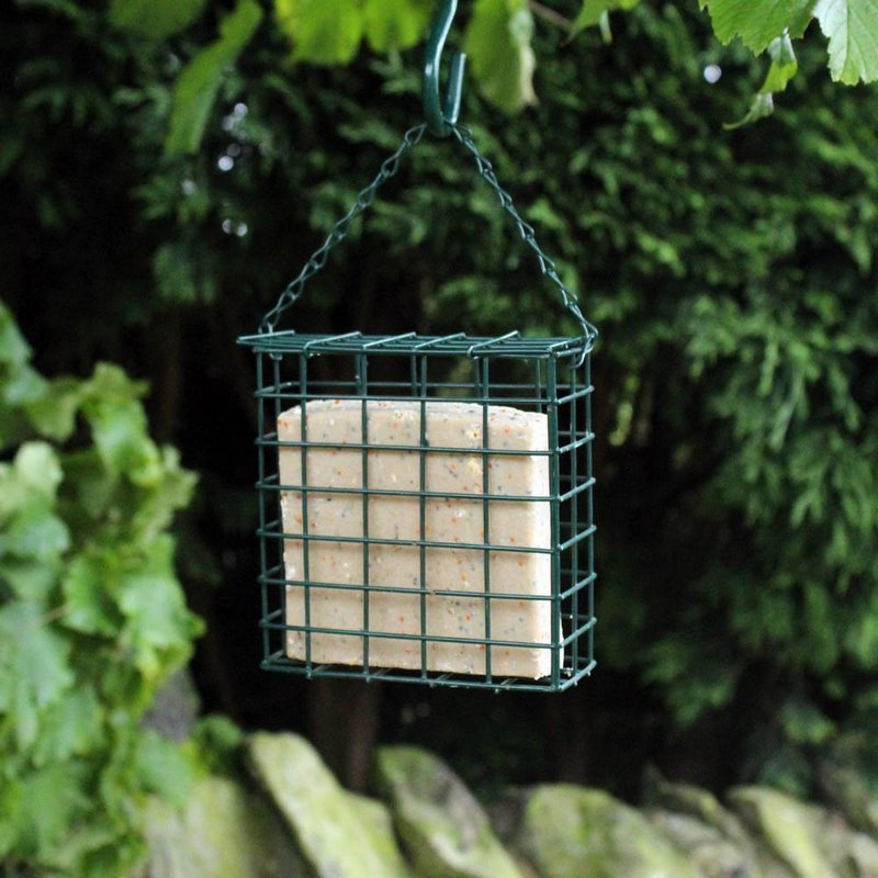 cesta comedero cuadrada para aves silvestres