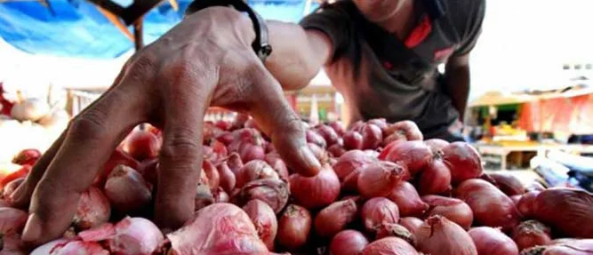 Harga bawang yang ditawarkan pedagang di pasar tradisional Kota Ambon, kini mulai bergerak turun.