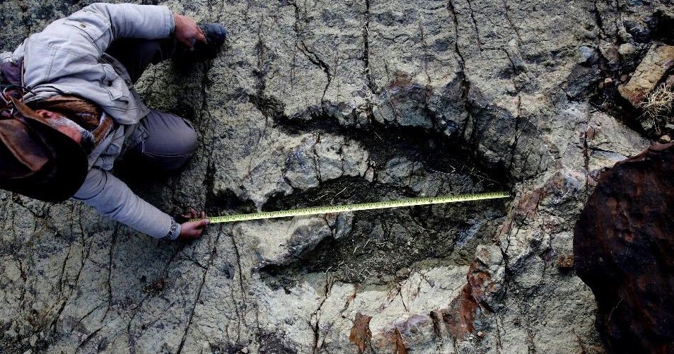 Huge Dinosaur Footprint Discovered in South America Geology In