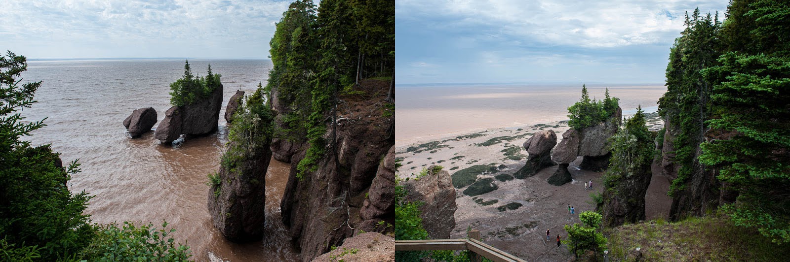 Jon's Journeys Hopewell Rocks High & Low Tide
