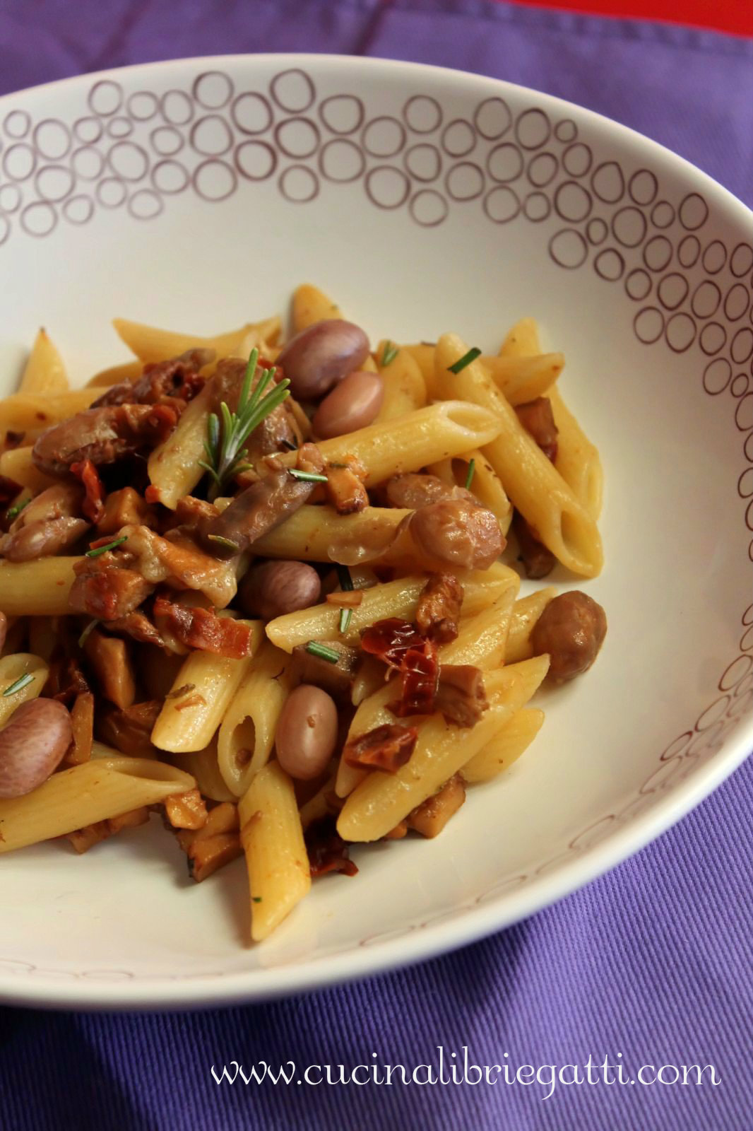Penne con funghi fagioli e pomodori secchi Cucina, Libri e Gatti
